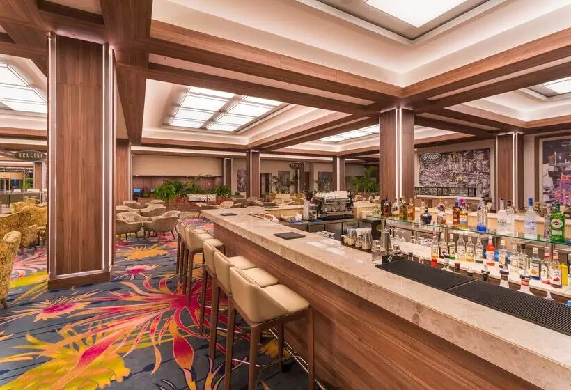 Fotos del hotel Concorde Luxury Resort & Casino & Convention & Spa:  43