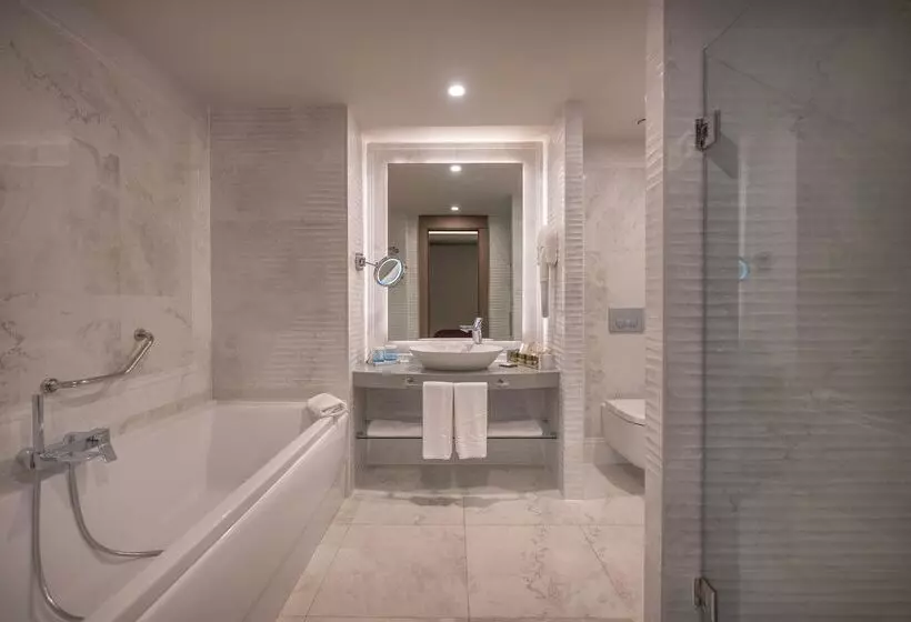 Fotos del hotel Concorde Luxury Resort & Casino & Convention & Spa:  92