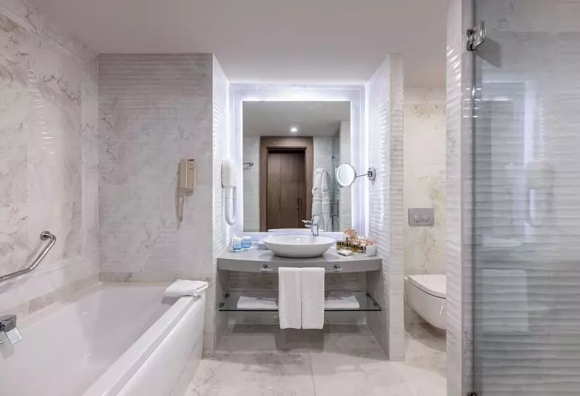 Fotos del hotel Concorde Luxury Resort & Casino & Convention & Spa:  222