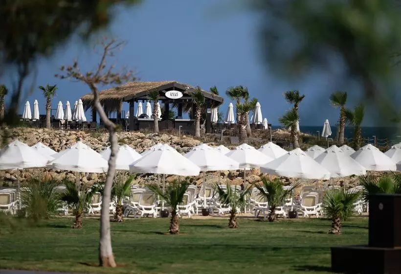 Fotos del hotel Concorde Luxury Resort & Casino & Convention & Spa:  329