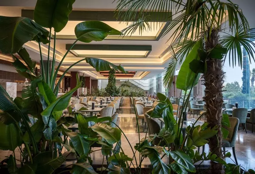 Fotos del hotel Concorde Luxury Resort & Casino & Convention & Spa:  407