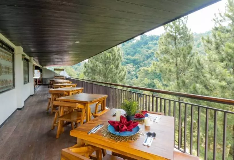 Fotos del hotel D'riam Riverside Resort:  3