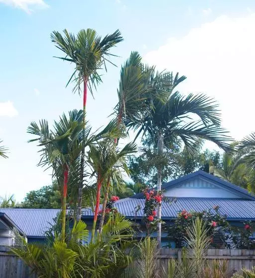 Fotos del hotel Uyoung Diving Resort:  13