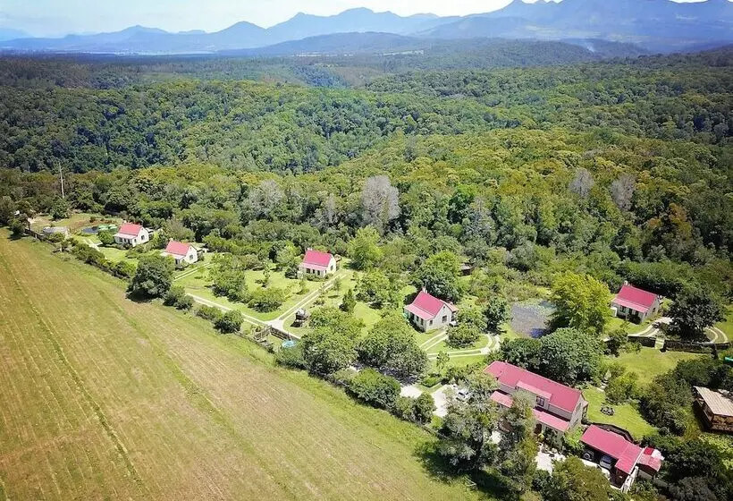Fotos del hotel Forest Edge:  8