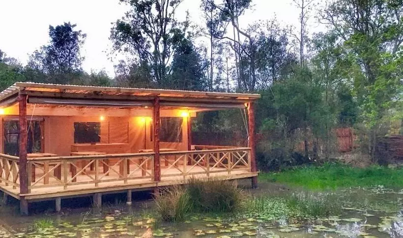 Fotos del hotel Forest Edge:  2