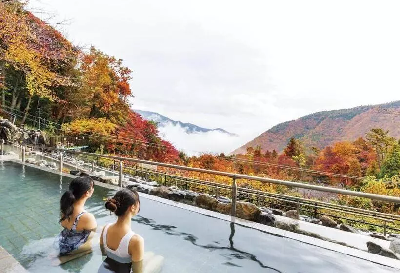 Fotos del hotel Hakone Kowakien Ten-yu:  13