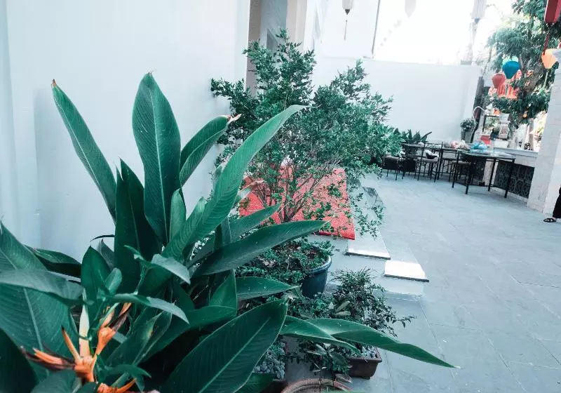 Fotos del hotel Uptown Hoi An:  4