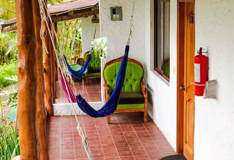 Fotos del hotel Twin  Galápagos:  6