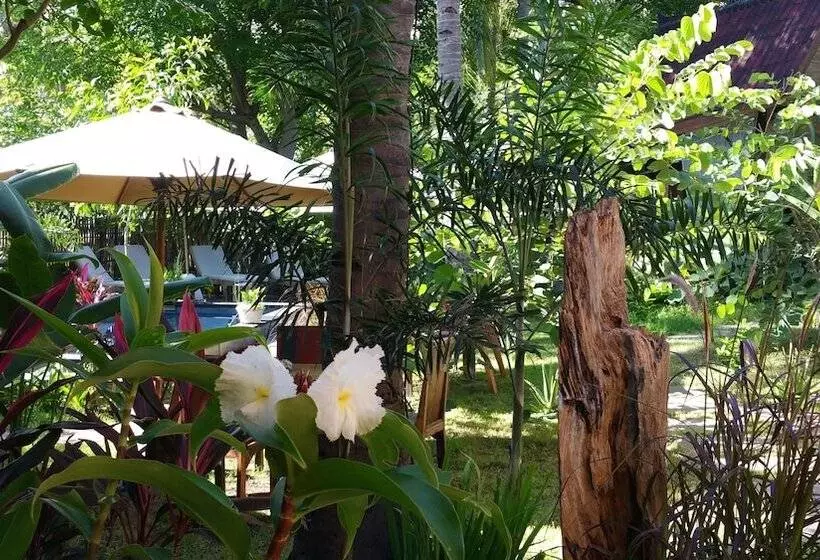 Fotos del hotel Villas Light House:  11