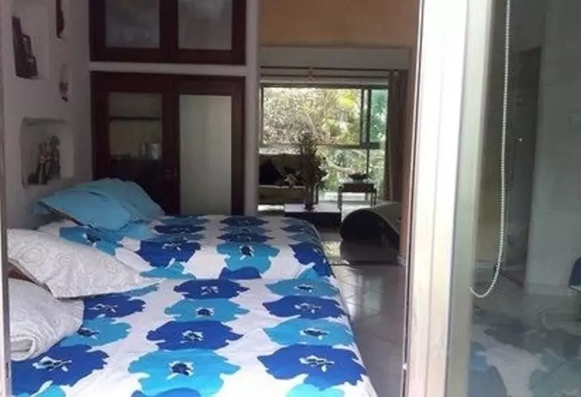 Fotos del hotel Casa La Selva:  22