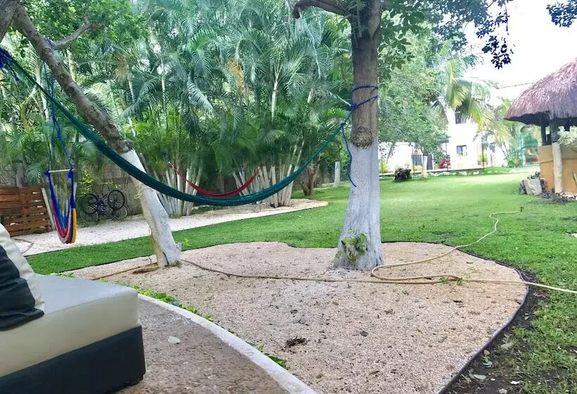 Fotos del hotel Casa La Selva:  7