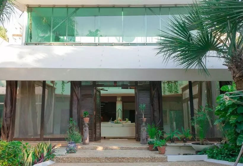 Fotos del hotel Casa La Selva:  15