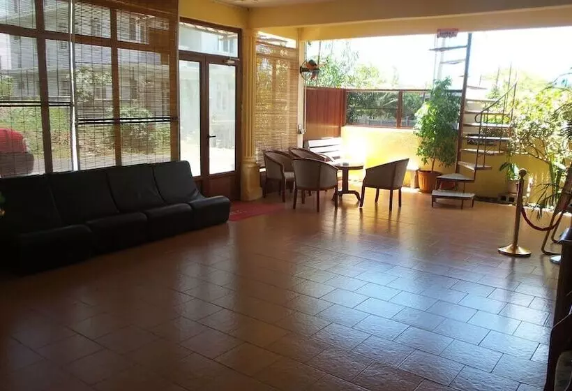 Fotos del hotel Sun 7 Guest House:  23