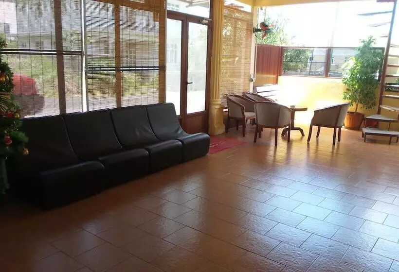 Fotos del hotel Sun 7 Guest House:  19