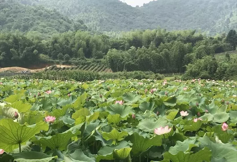 Hangzhou Tongjia Country Resort