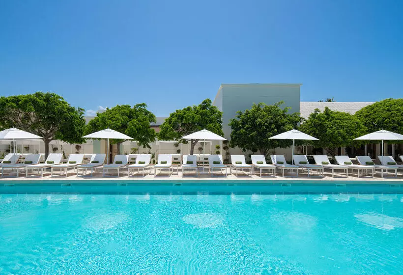 Fotos del hotel Meliá Punta Cana Beach Wellness Inclusive - Adults Only :  62