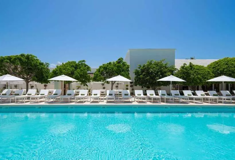 Fotos del hotel Meliá Punta Cana Beach Wellness Inclusive - Adults Only :  68