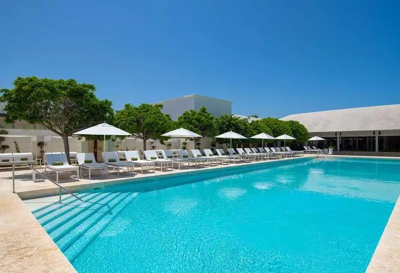 Fotos del hotel Meliá Punta Cana Beach Wellness Inclusive - Adults Only :  65