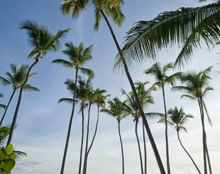 Fotos del hotel Meliá Punta Cana Beach Wellness Inclusive - Adults Only :  48