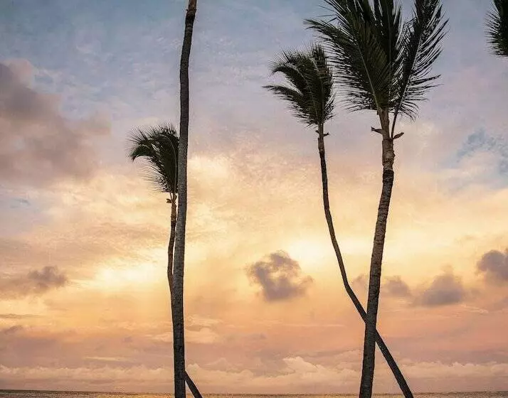 Fotos del hotel Meliá Punta Cana Beach Wellness Inclusive - Adults Only :  43