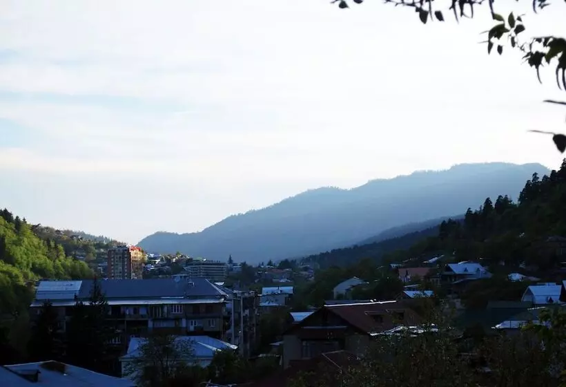 Fotos del hotel Old Borjomi:  21