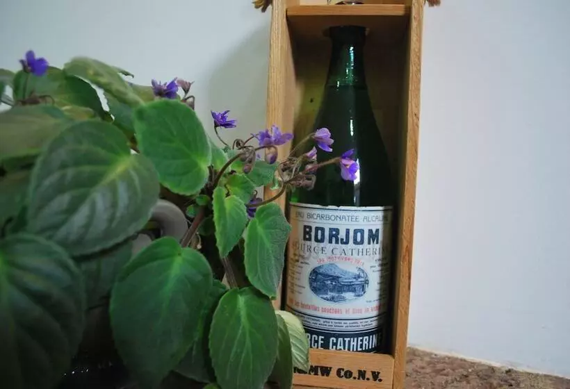 Fotos del hotel Old Borjomi:  4