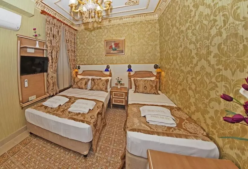 Fotos del hotel Sirkeci Gar:  16