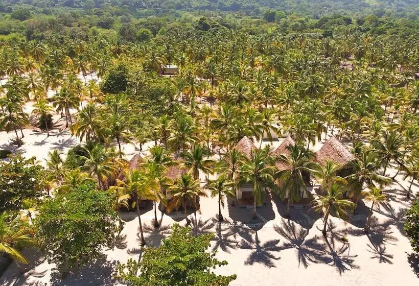 Fotos del hotel Tay Beach:  3