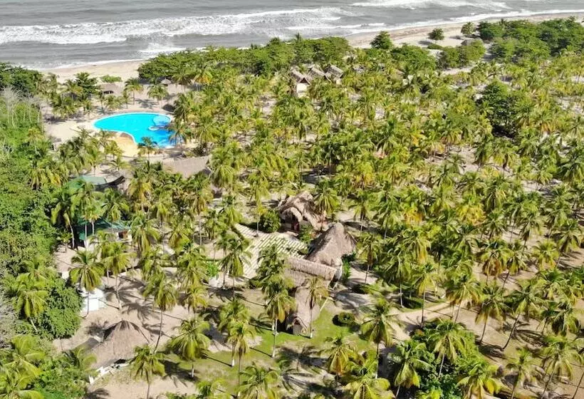 Fotos del hotel Tay Beach:  9