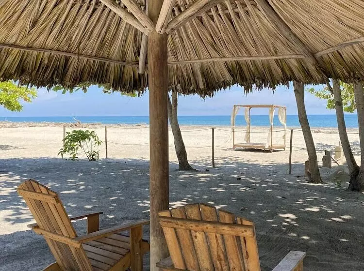 Fotos del hotel Tay Beach:  5
