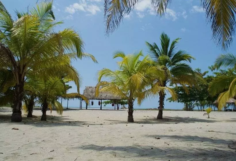 Fotos del hotel Tay Beach:  6