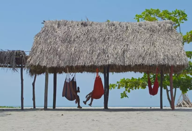 Fotos del hotel Tay Beach:  15