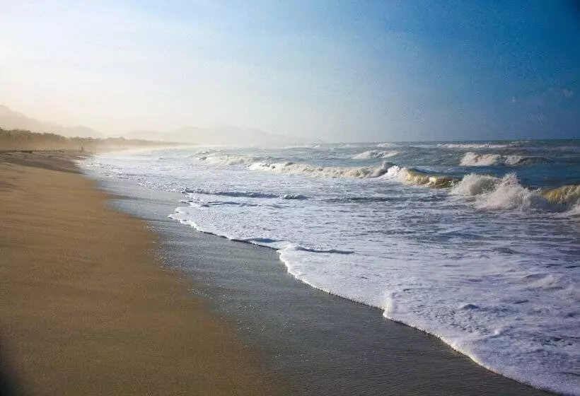 Fotos del hotel Tay Beach:  12
