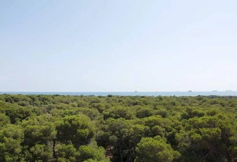 Fotos del hotel You & Co. Saler Beach Boutique:  17