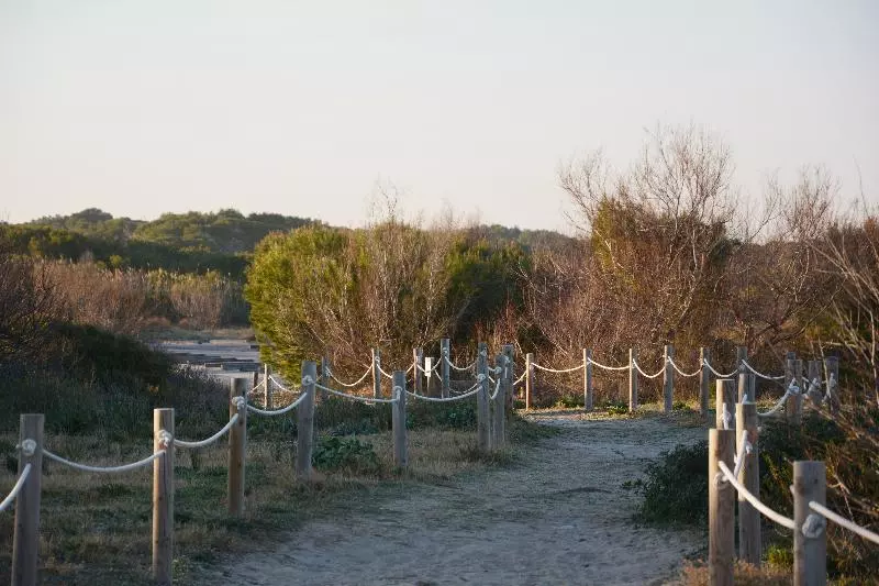 Fotos del hotel You & Co. Saler Beach Boutique:  25