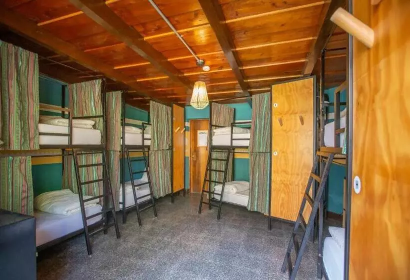 Fotos del hotel Selina Atitlan:  22