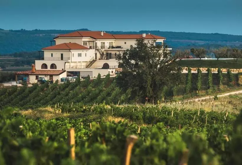 Fotos del hotel Wine Residence Cattunar:  17