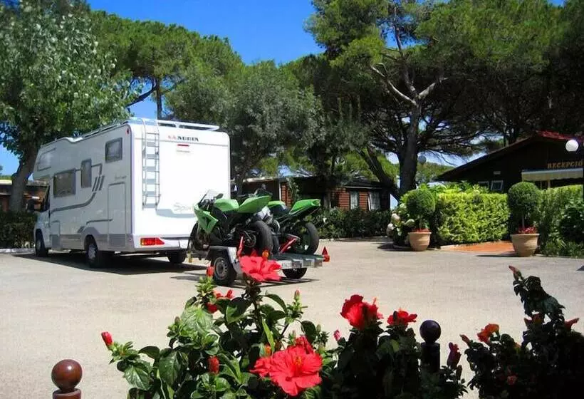 Fotos del hotel Camping Vall D'or:  9