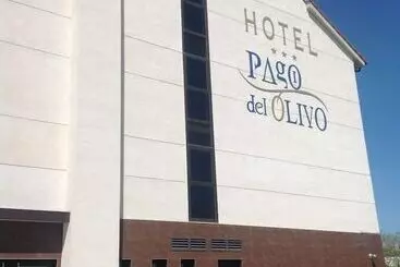 Pago Del Olivo - Simancas