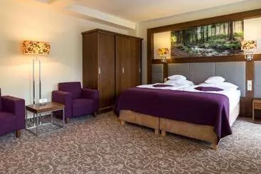 Mercure Krynica Zdrój Resort&spa - Krynica Zdroj