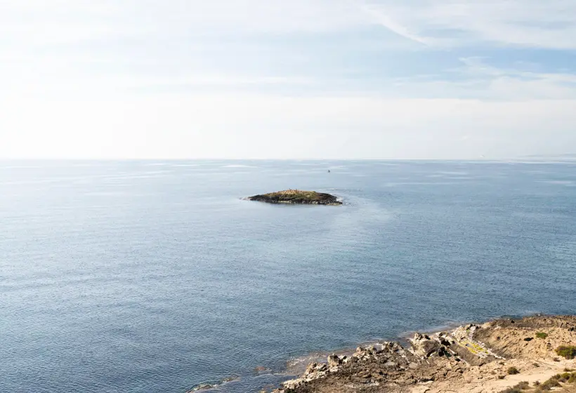 Fotos del hotel Aluasoul Palma - Adults Only:  30