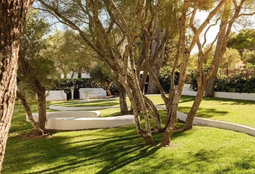 Fotos del hotel Cala Dor - Adults Only:  16