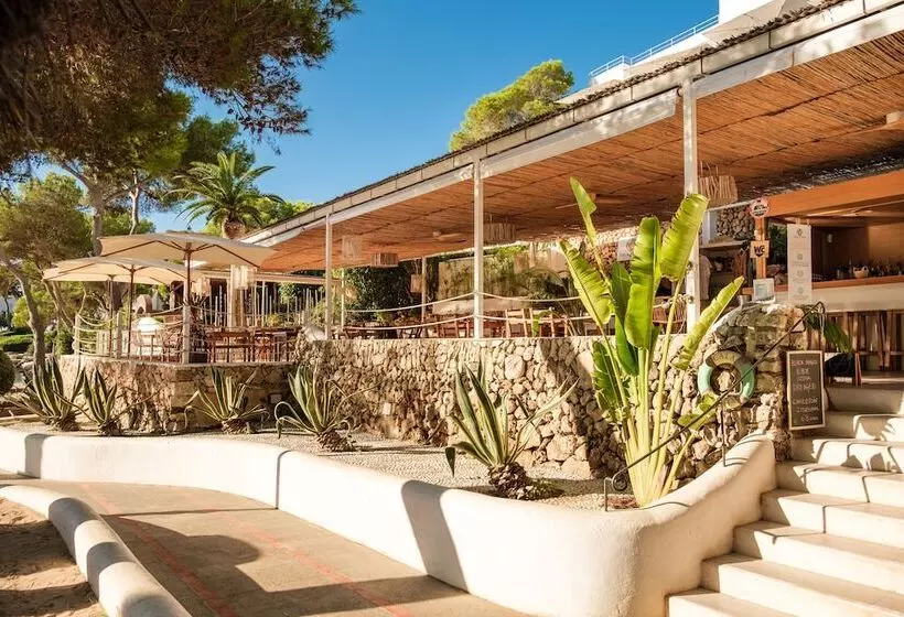 Fotos del hotel Cala Dor - Adults Only:  15