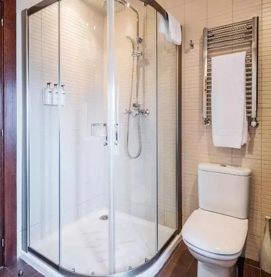 Fotos del hotel Don Paco:  11