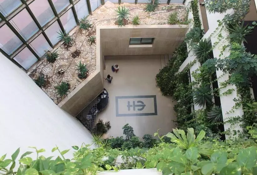 Fotos del hotel Ejido:  19