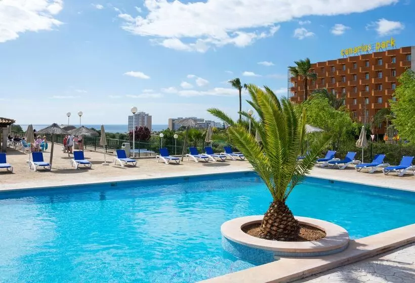 Fotos del hotel Hsm Hotel Canarios Park:  24