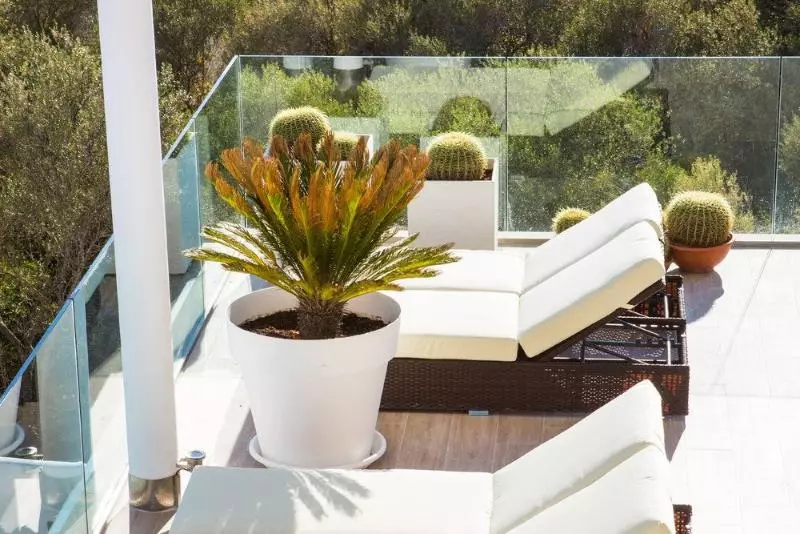 Fotos del hotel Monsuau Cala D'Or Hotel 4 Sup - Adults Only:  6