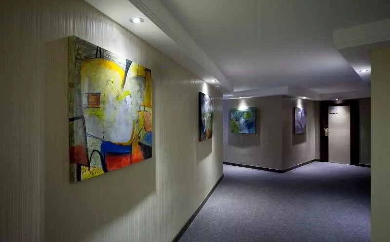 Fotos del hotel Nuevo Torreluz:  14