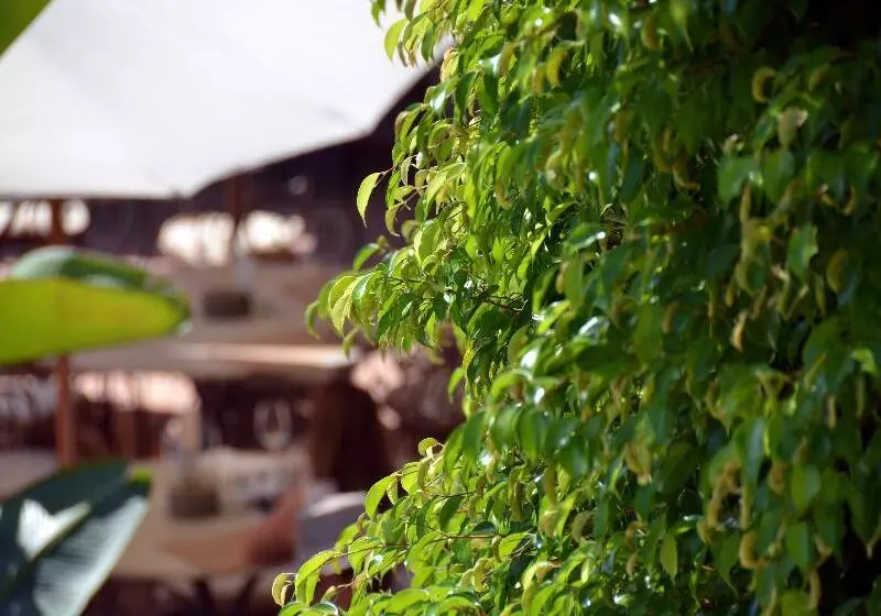 Fotos del hotel Swiss Moraira:  15