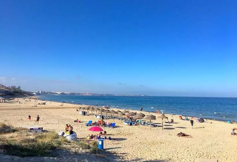 Fotos del hotel Torrejoven:  19